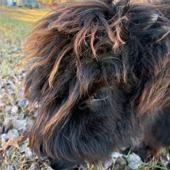 Meet the Posher Other - Meet your Posher, Kat